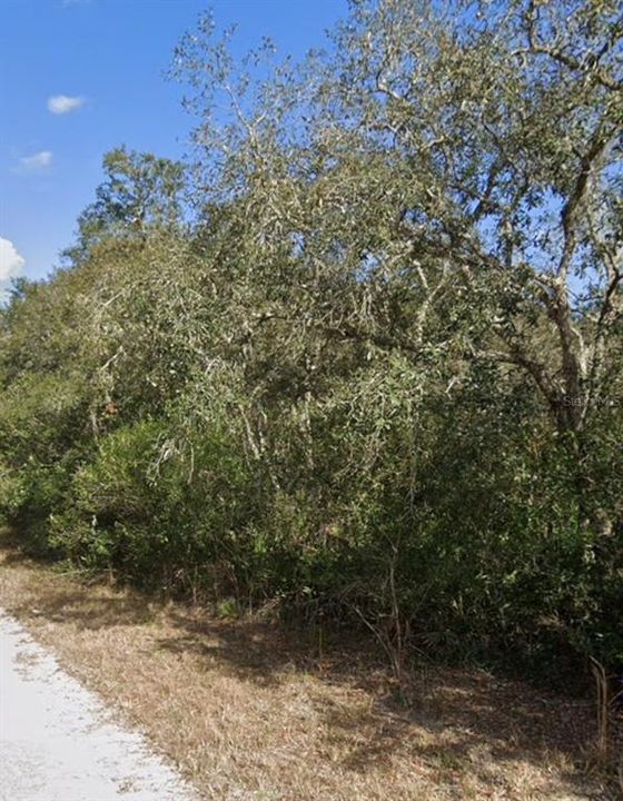 На продажу: $39,900 (1.15 acres)