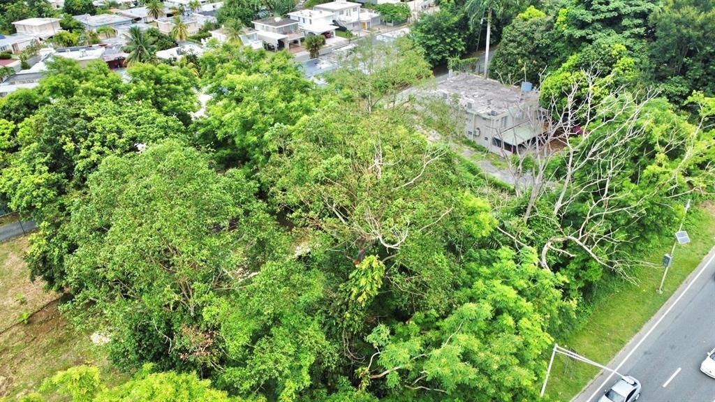 На продажу: $450,000 (2 спален, 1 ванн, 8826 Квадратных фут)