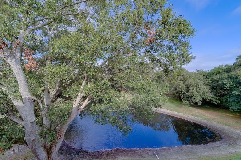 待售: $320,000 (2 贝兹, 2 浴室, 1700 平方英尺)