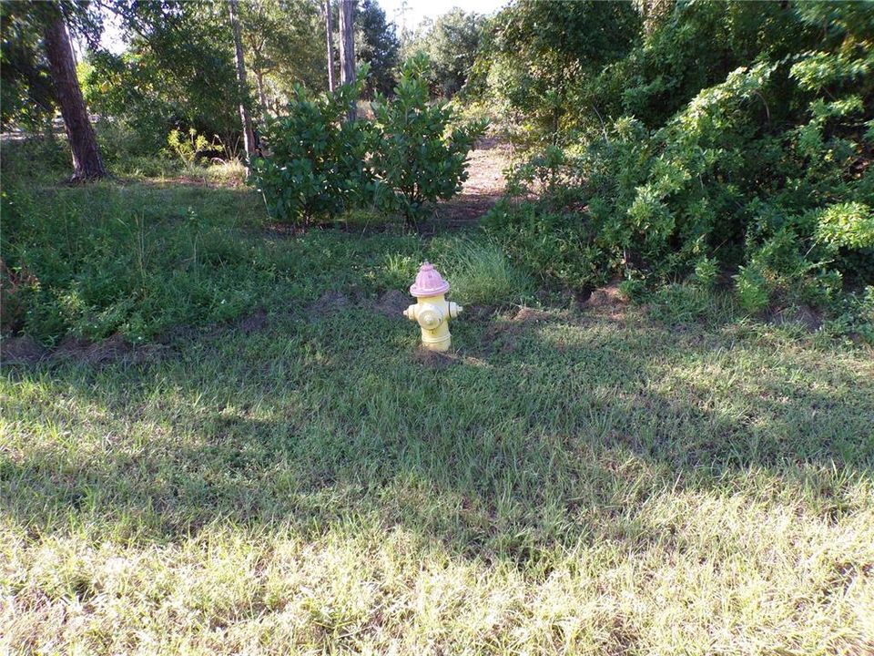 На продажу: $79,900 (0.49 acres)