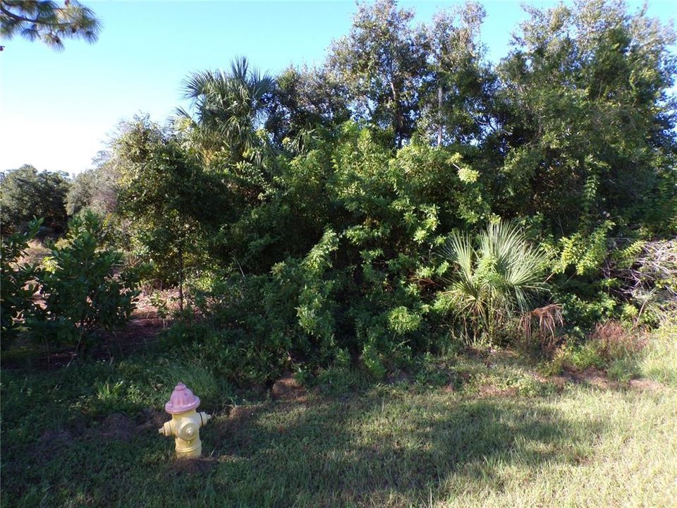 На продажу: $79,900 (0.49 acres)