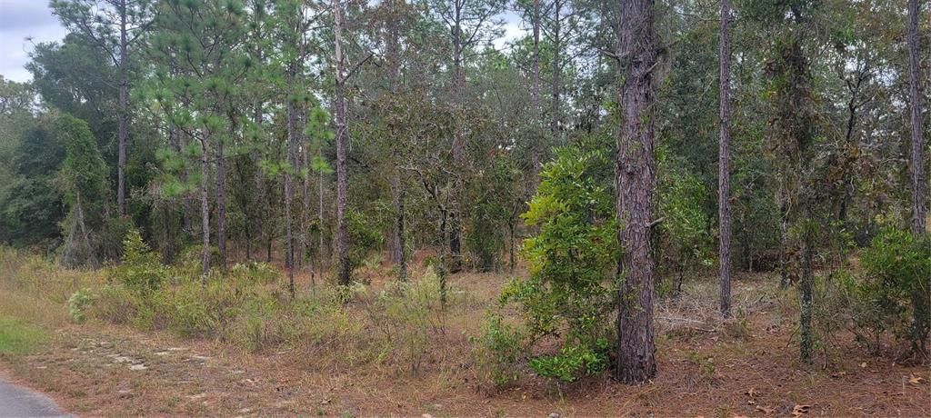 For Sale: $69,999 (1.98 acres)