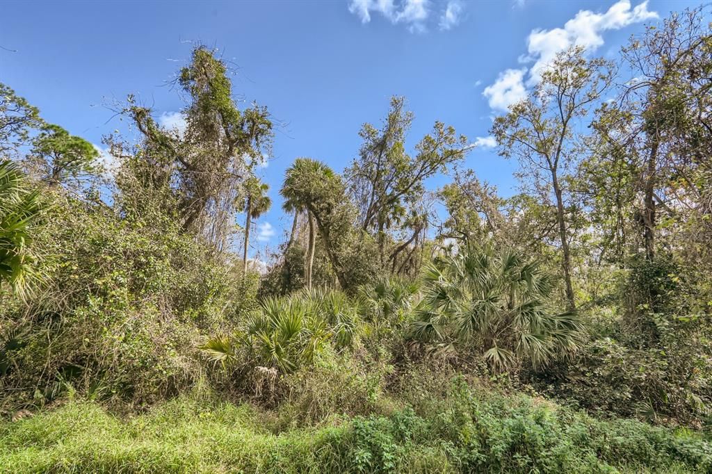 For Rent: $2,250 (3 beds, 2 baths, 2059 Square Feet)