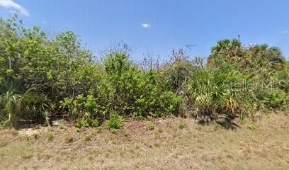 For Sale: $19,900 (0.23 acres)