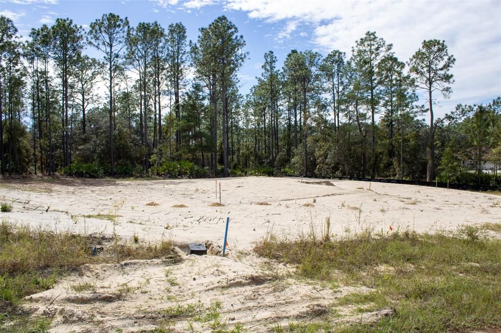 待售: $595,000 (3 贝兹, 2 浴室, 2200 平方英尺)