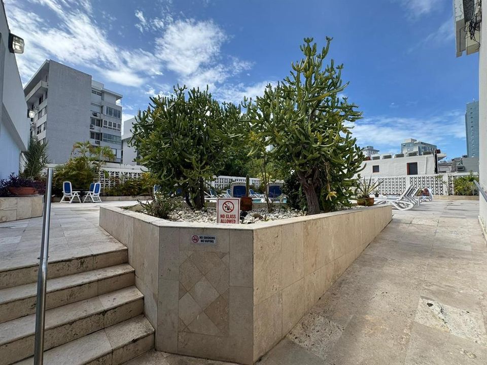 Active With Contract: $350,000 (1 beds, 1 baths, 535 Square Feet)