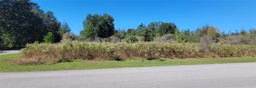 待售: $25,000 (0.22 acres)