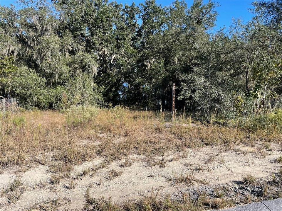 For Sale: $58,995 (0.35 acres)