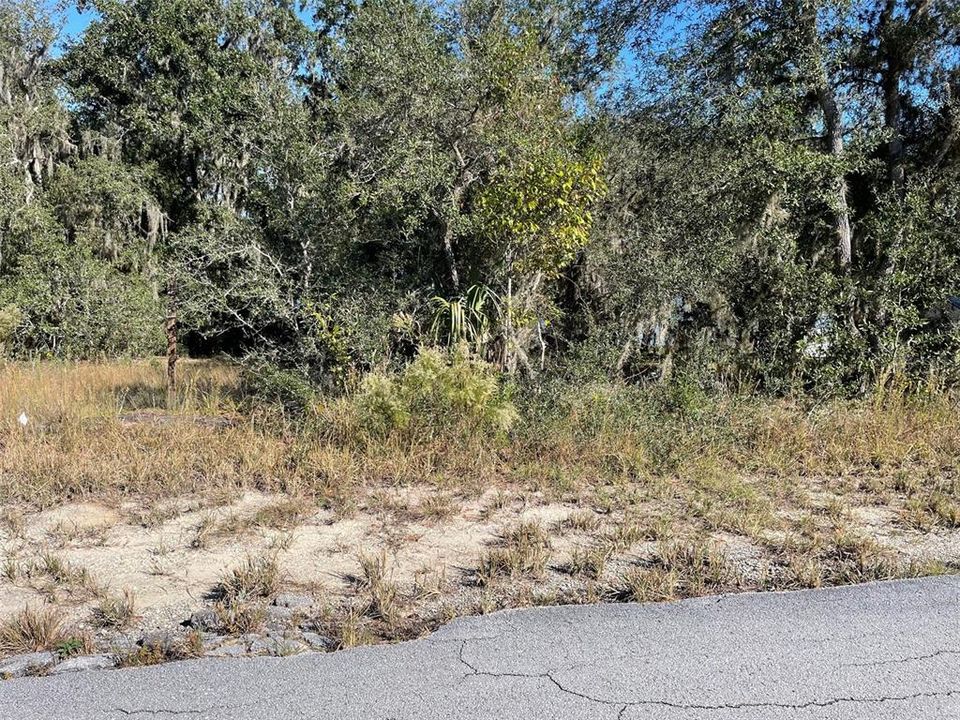 For Sale: $58,995 (0.35 acres)