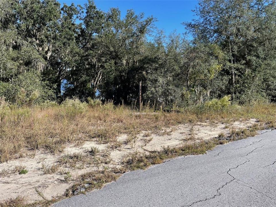 For Sale: $58,995 (0.35 acres)