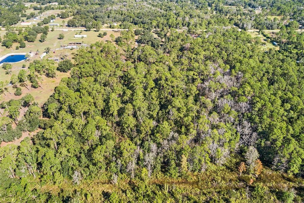 For Sale: $234,000 (6.05 acres)