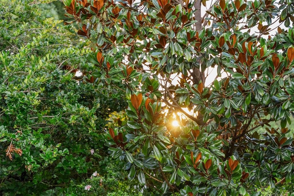 En Venta: $2,250,000 (4 camas, 4 baños, 5178 Pies cuadrados)