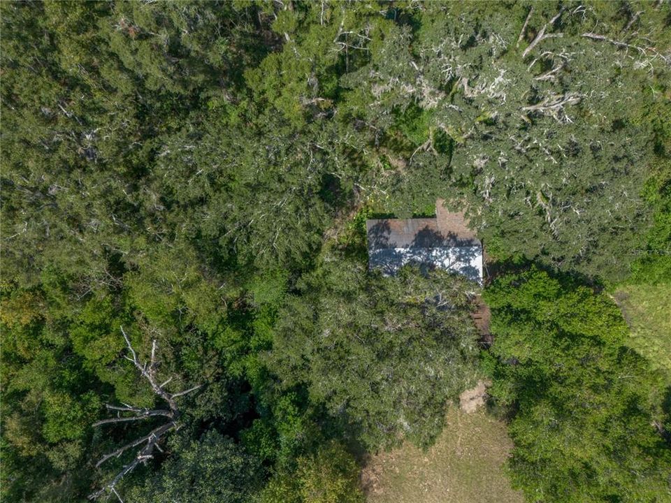 For Sale: $199,900 (6.50 acres)