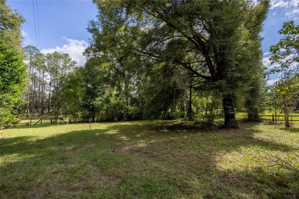 For Sale: $199,900 (6.50 acres)