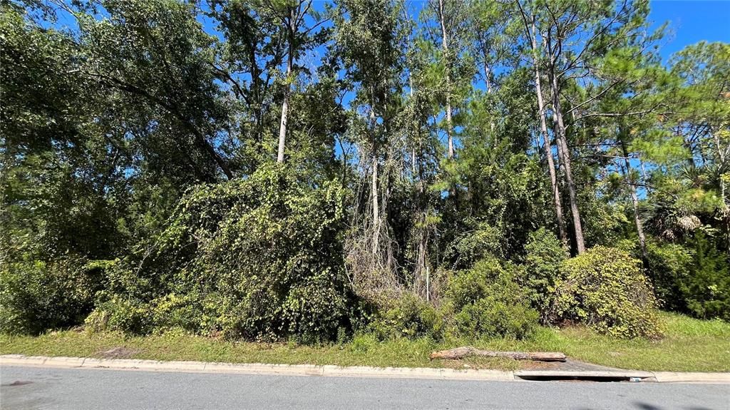 En Venta: $39,900 (0.19 acres)