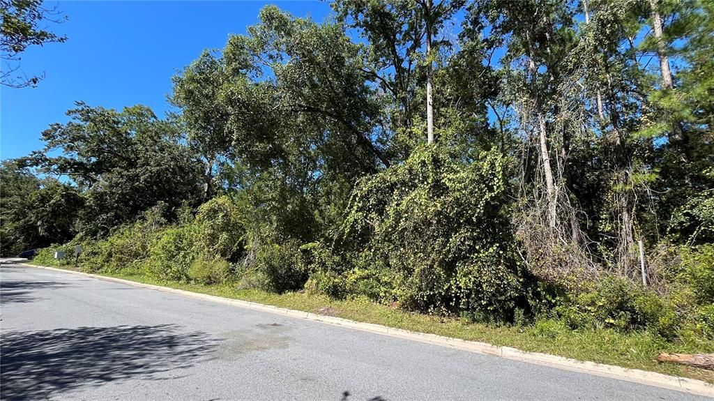 En Venta: $39,900 (0.19 acres)