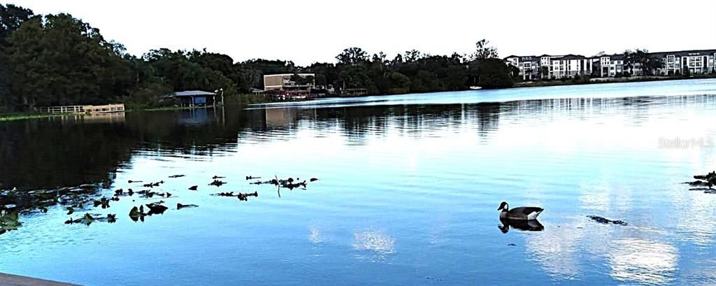 出租: $2,275 (3 贝兹, 2 浴室, 1565 平方英尺)