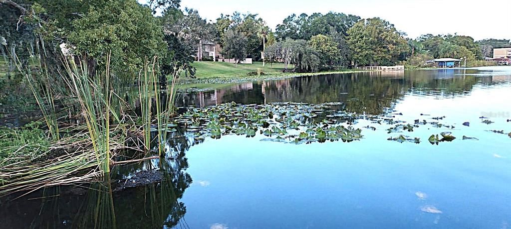 出租: $2,275 (3 贝兹, 2 浴室, 1565 平方英尺)