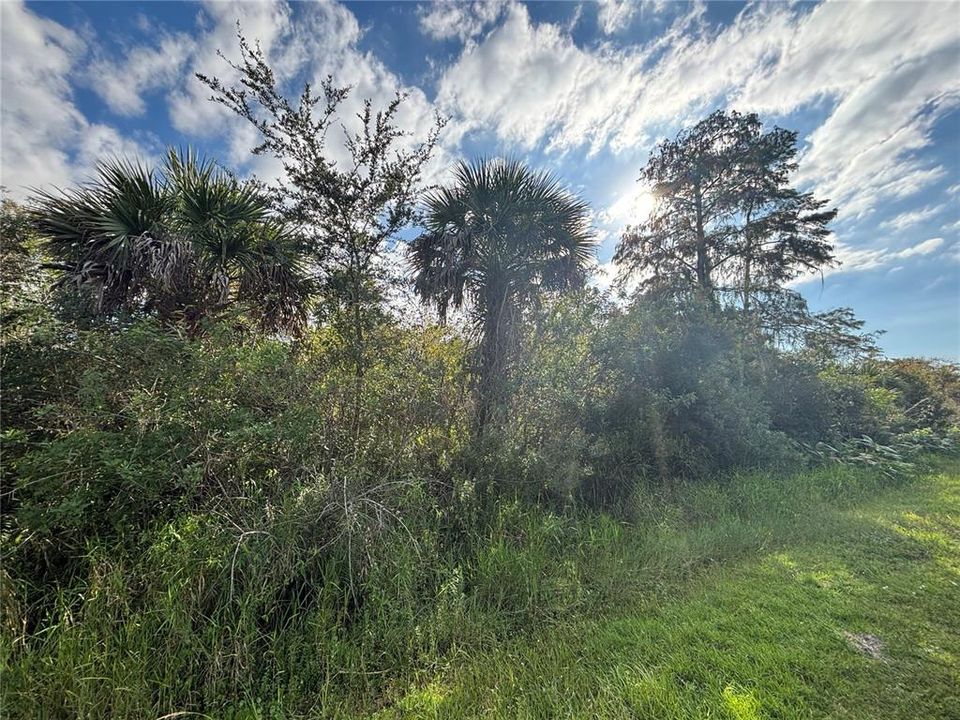 For Sale: $90,000 (1.14 acres)