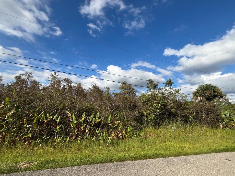 For Sale: $90,000 (1.14 acres)