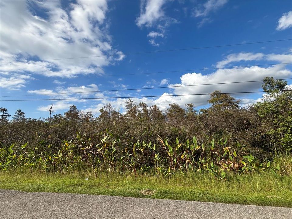 For Sale: $90,000 (1.14 acres)