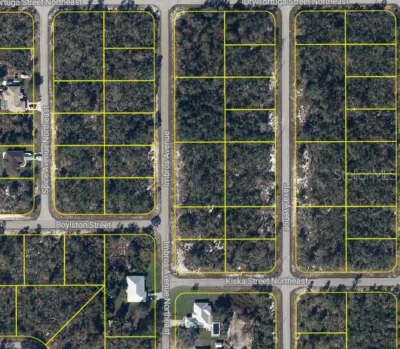 待售: $30,000 (0.46 acres)