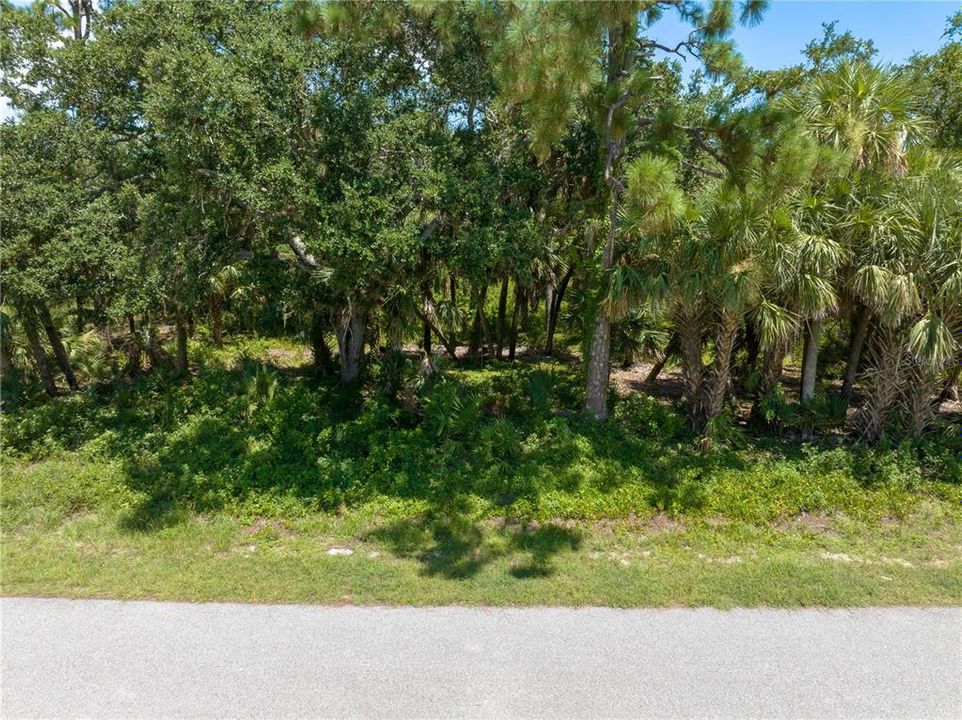 For Sale: $29,000 (0.29 acres)