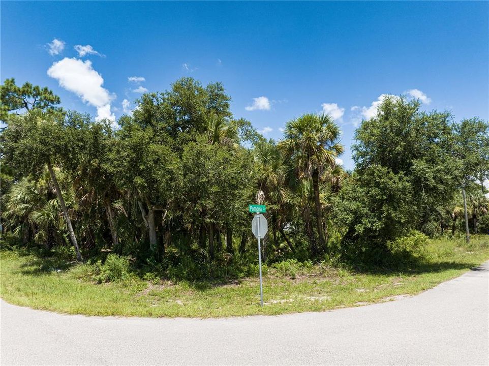 For Sale: $29,000 (0.29 acres)