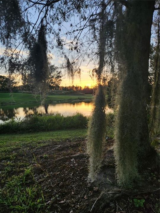 For Rent: $2,975 (4 beds, 2 baths, 2742 Square Feet)