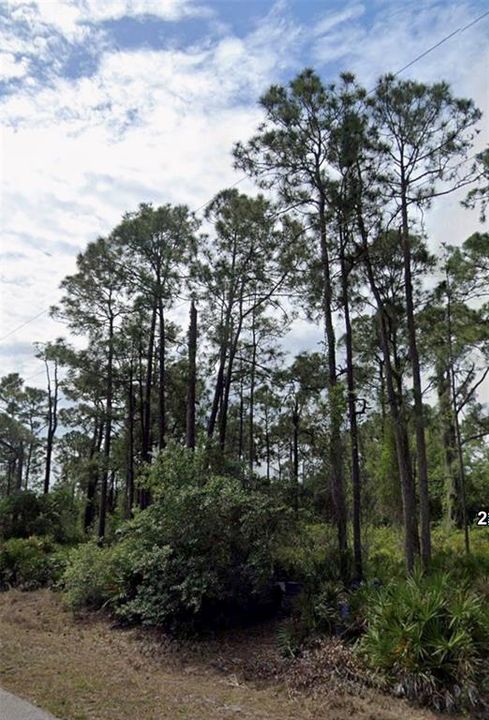 待售: $21,000 (0.23 acres)