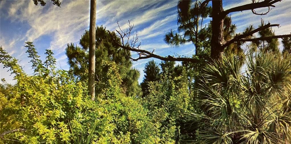 Recently Sold: $18,990 (0.23 acres)