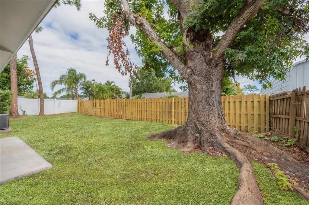 For Sale: $374,000 (3 beds, 2 baths, 1214 Square Feet)