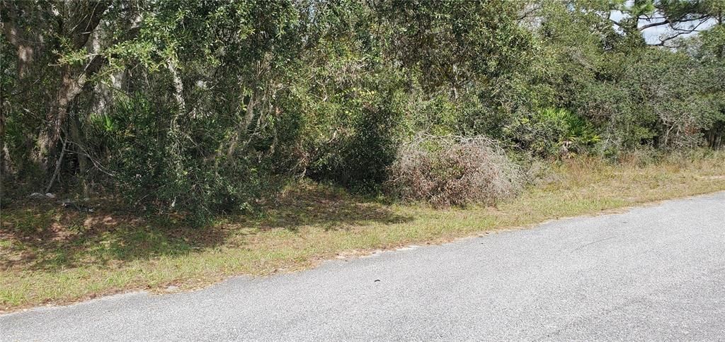 For Sale: $47,900 (0.22 acres)