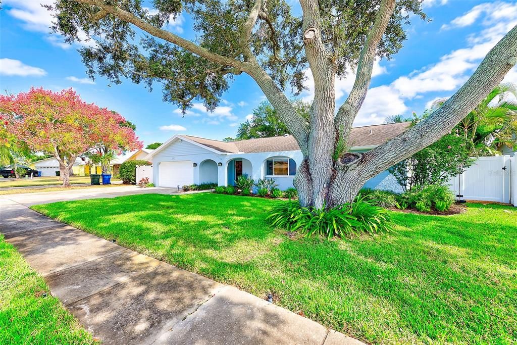 Active With Contract: $599,000 (4 beds, 2 baths, 2008 Square Feet)