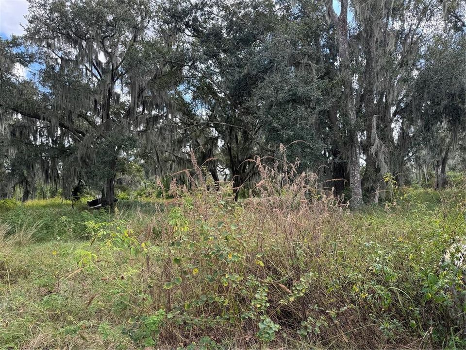 En Venta: $629,000 (4 camas, 2 baños, 2052 Pies cuadrados)