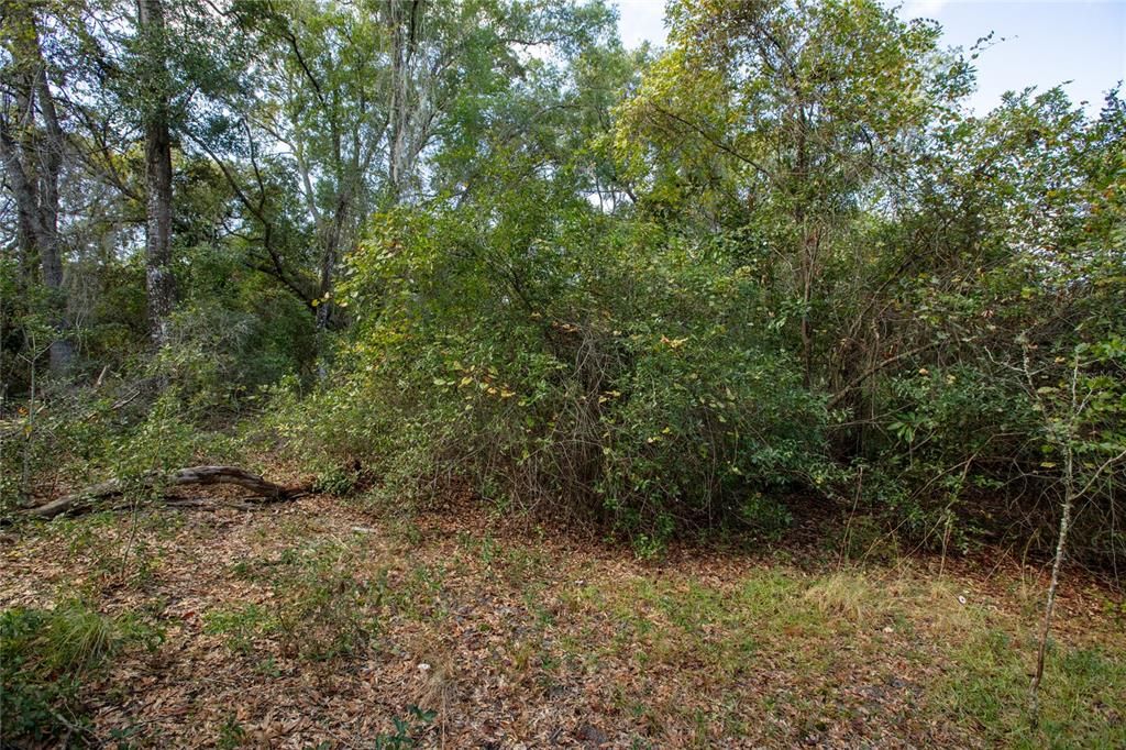 На продажу: $165,000 (3 спален, 2 ванн, 1196 Квадратных фут)