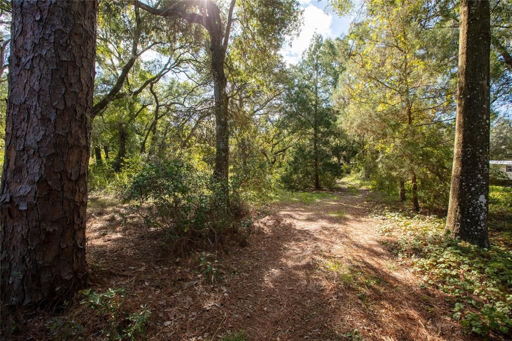 На продажу: $165,000 (3 спален, 2 ванн, 1196 Квадратных фут)