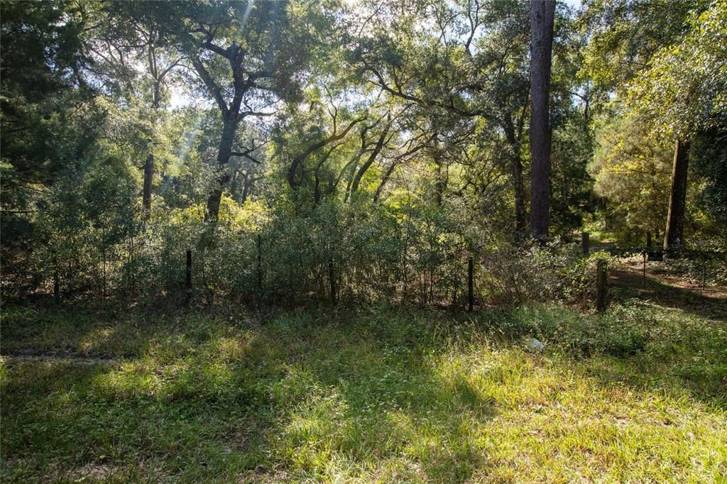 На продажу: $165,000 (3 спален, 2 ванн, 1196 Квадратных фут)