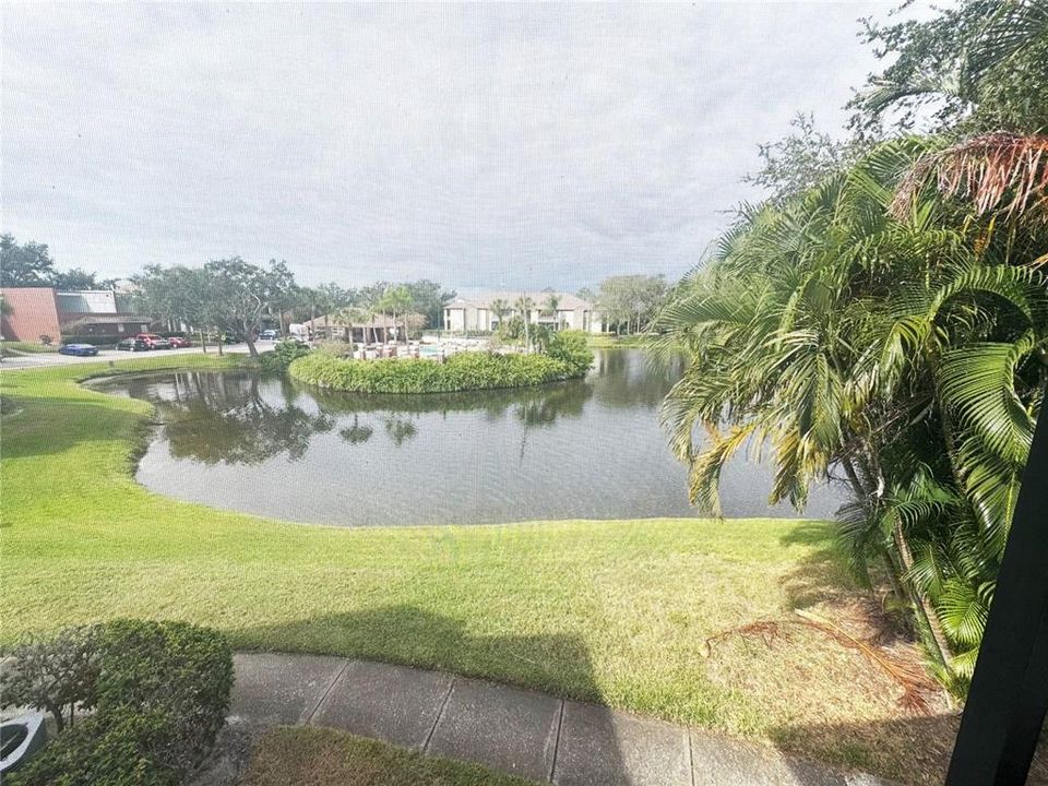 出租: $1,800 (2 贝兹, 2 浴室, 1015 平方英尺)