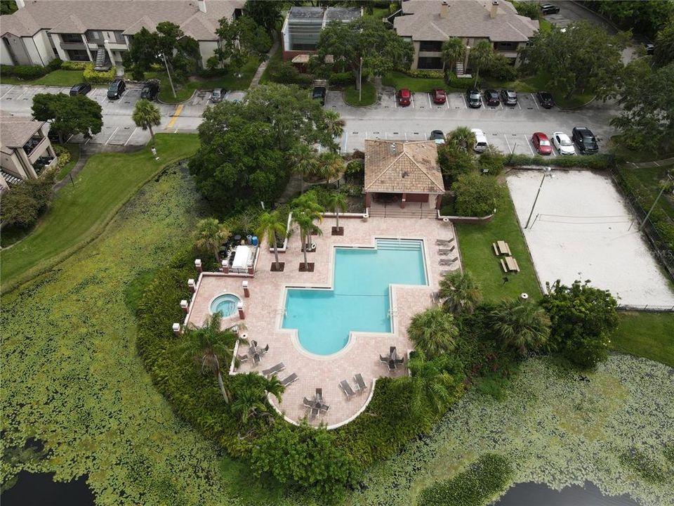 出租: $1,800 (2 贝兹, 2 浴室, 1015 平方英尺)