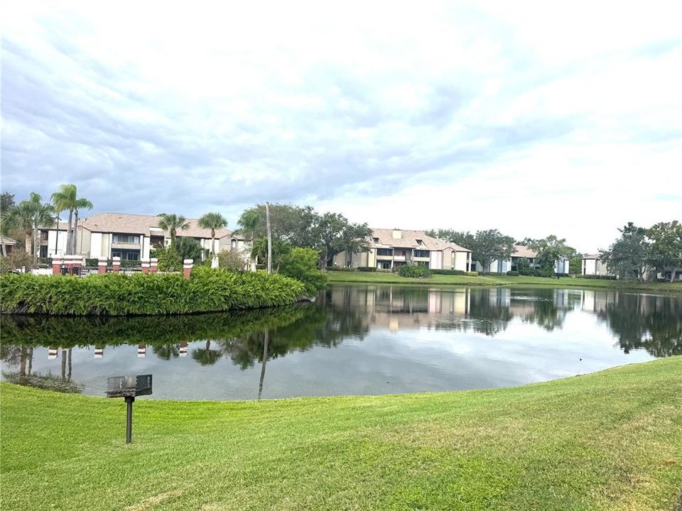 出租: $1,800 (2 贝兹, 2 浴室, 1015 平方英尺)