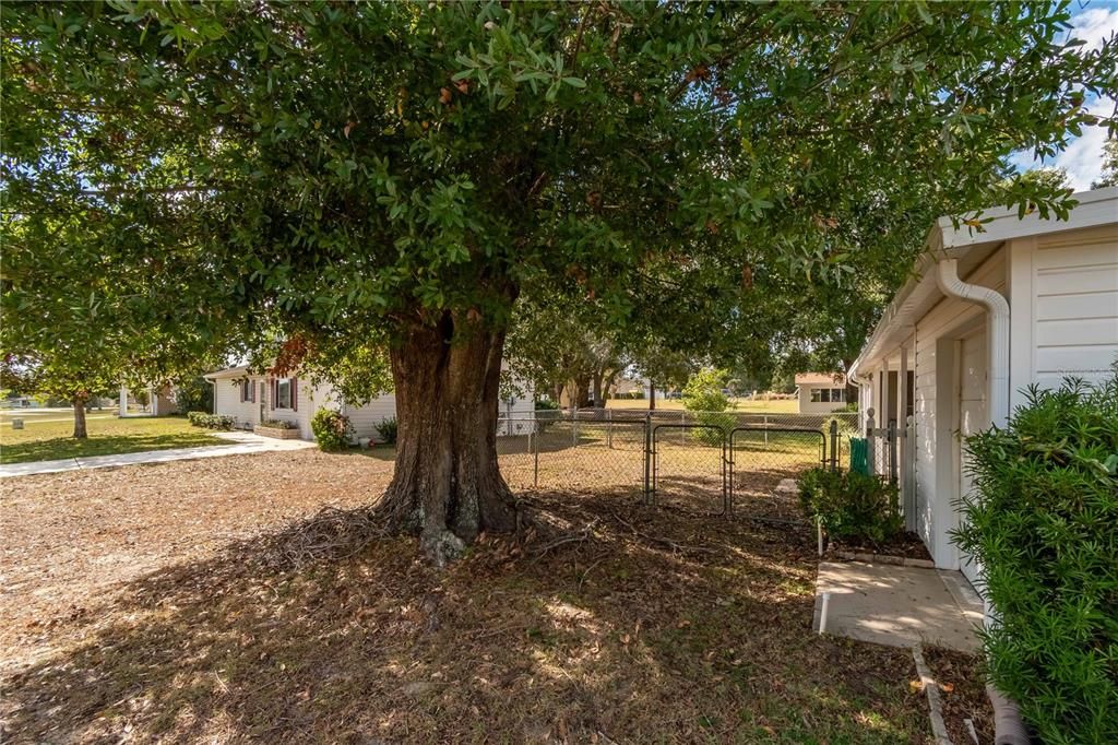 For Sale: $194,000 (2 beds, 2 baths, 1144 Square Feet)