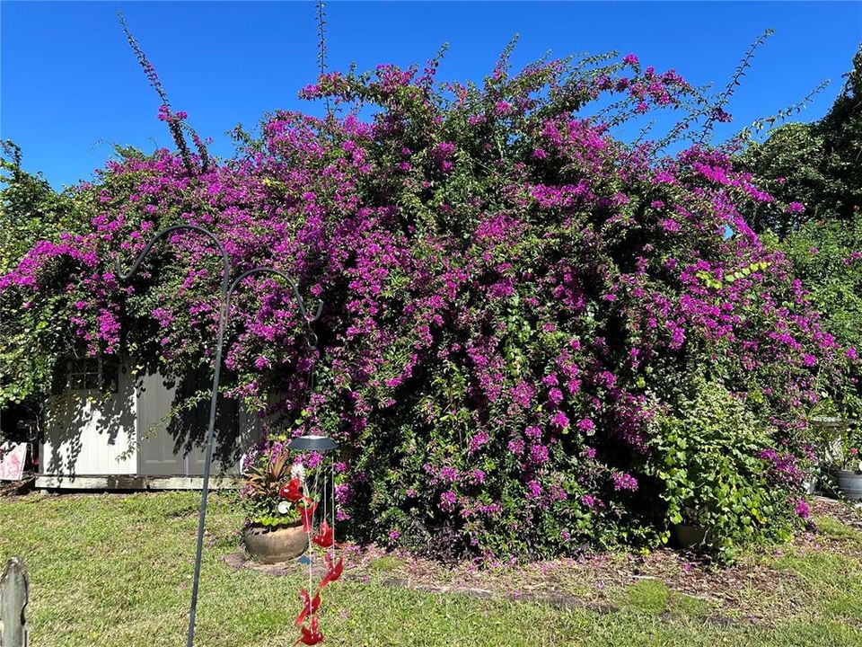 For Sale: $360,000 (3 beds, 2 baths, 1970 Square Feet)