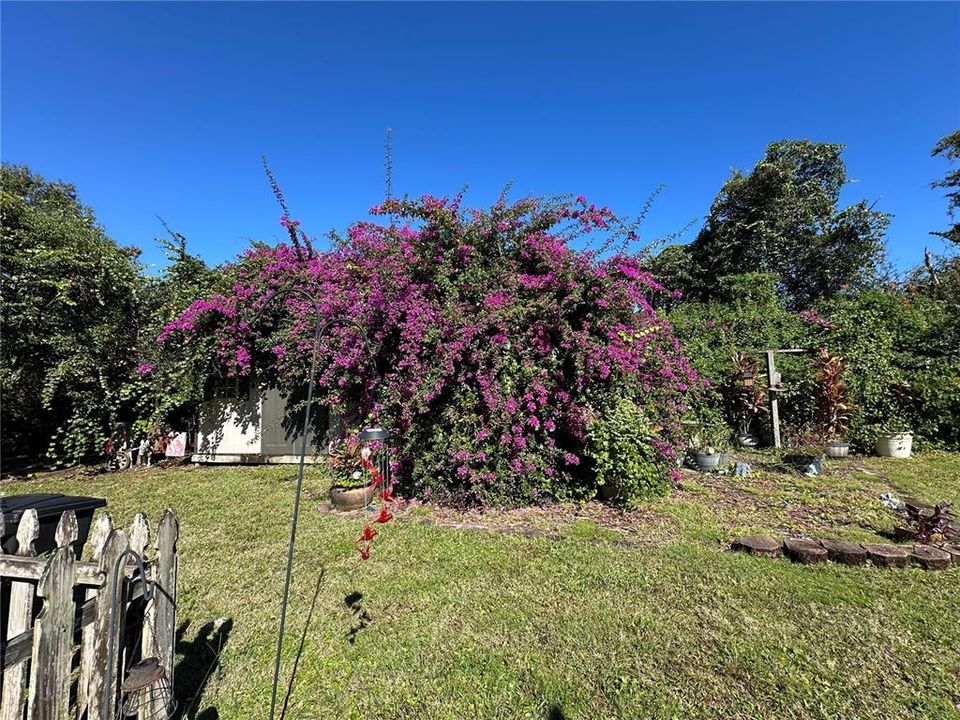 For Sale: $360,000 (3 beds, 2 baths, 1970 Square Feet)