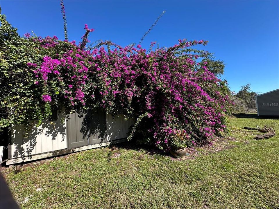 For Sale: $360,000 (3 beds, 2 baths, 1970 Square Feet)