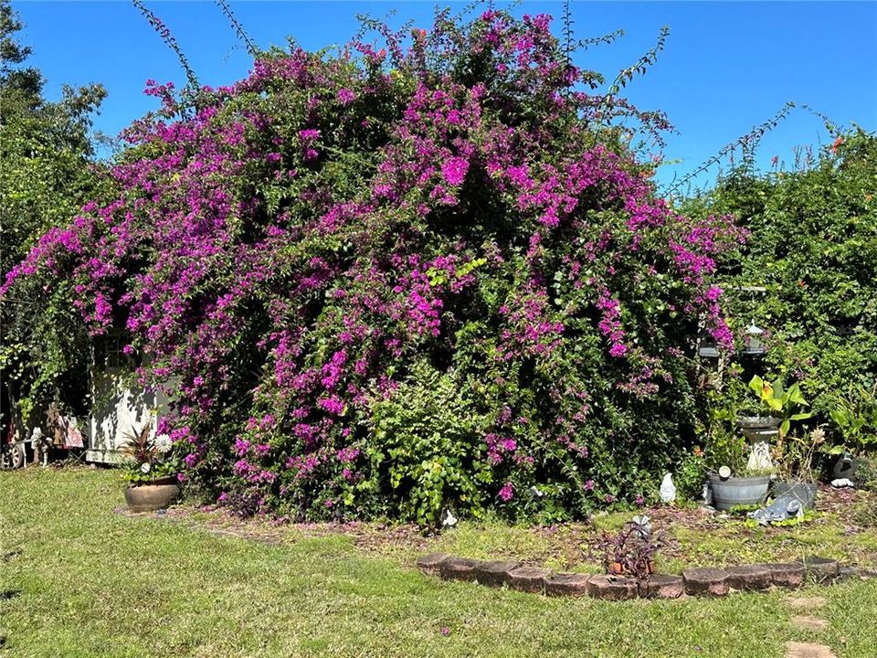 For Sale: $360,000 (3 beds, 2 baths, 1970 Square Feet)