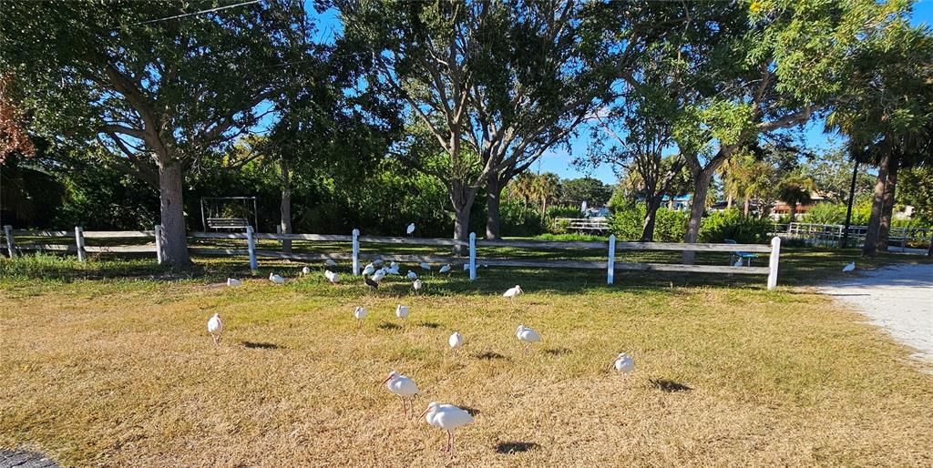 待售: $159,000 (1 贝兹, 1 浴室, 1060 平方英尺)