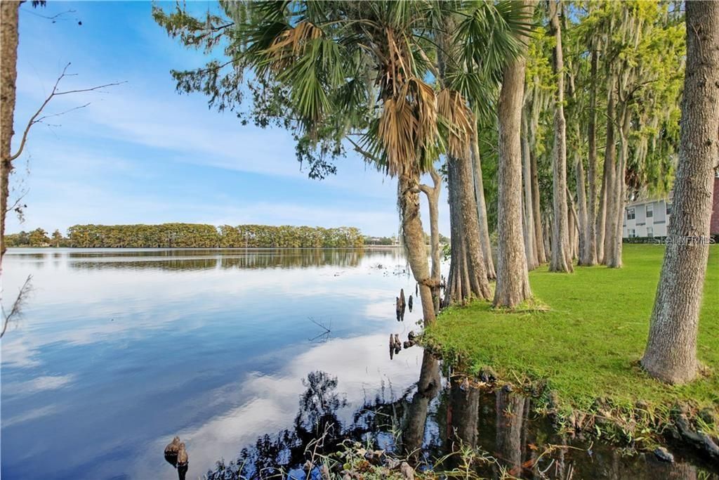 出租: $1,500 (2 贝兹, 2 浴室, 912 平方英尺)