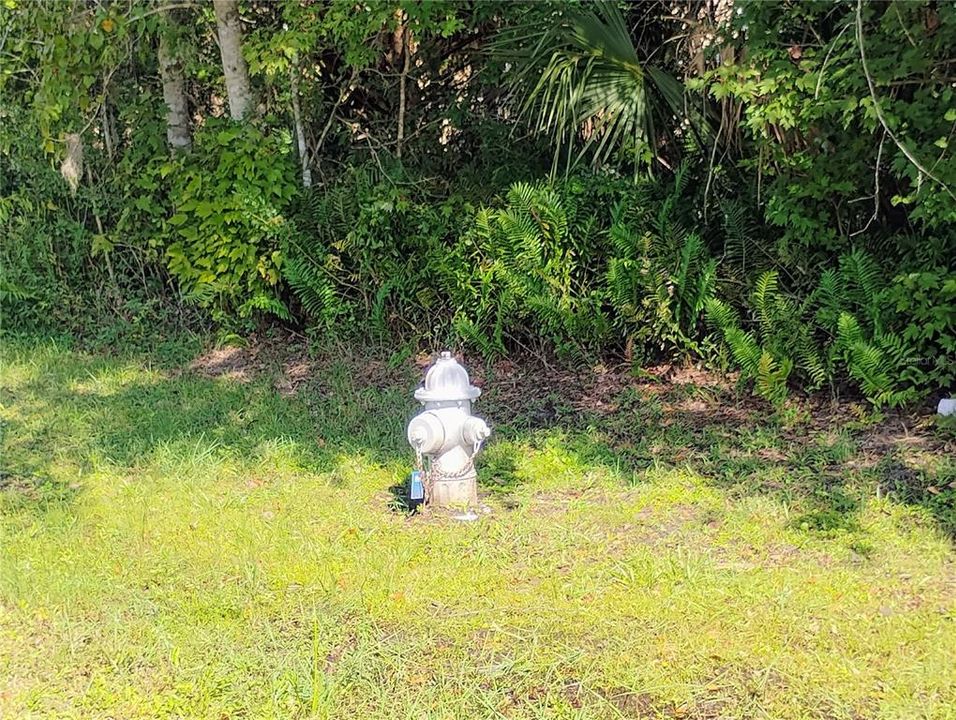 Под контрактом: $55,000 (0.18 acres)