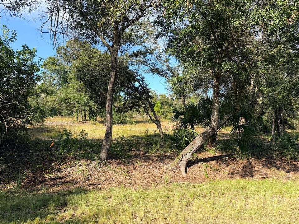 For Sale: $18,000 (0.17 acres)